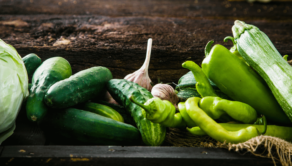 Best Survival Prepper - Permaculture Survival Gardening