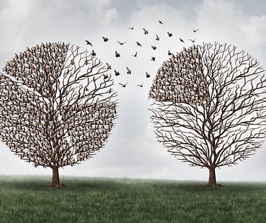 Risk - bird flock chart